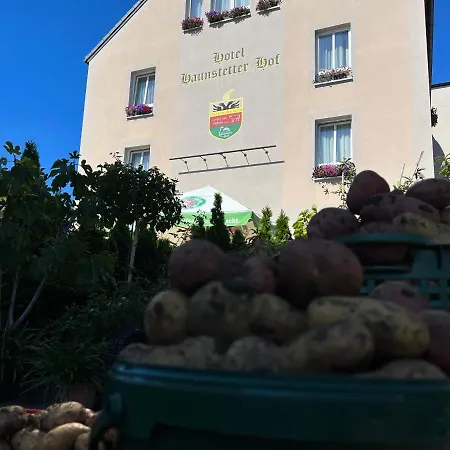 4 Sterne & Restaurant Haunstetter Hof Hotel 4*