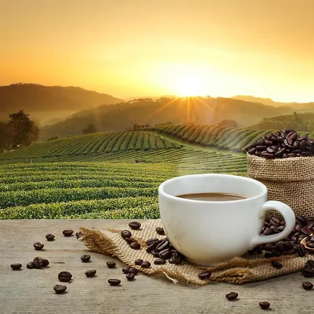 Hotel Haunstetter Hof 4*