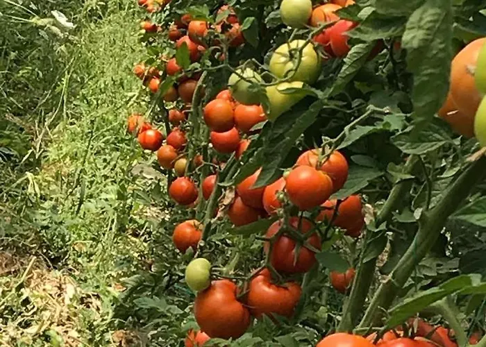 Haunstetter Hof Hotel