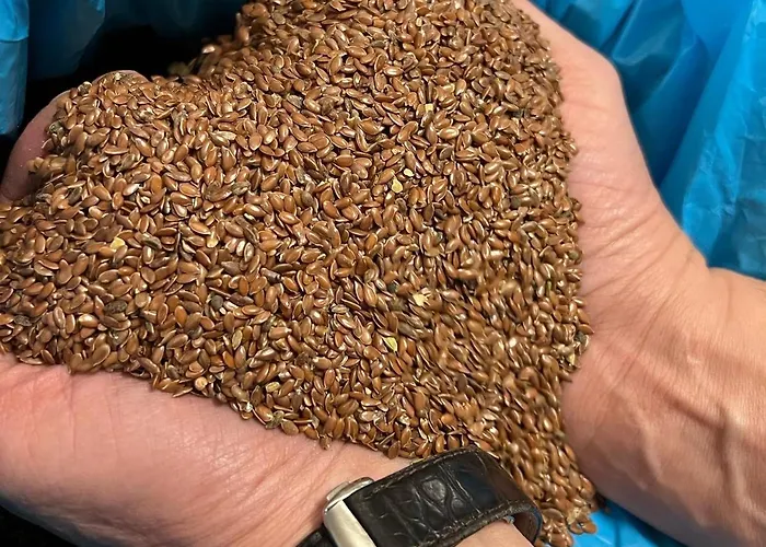 Haunstetter Hof Hotel 4*