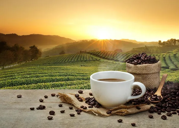 Hotel Haunstetter Hof 4*