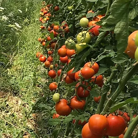 Haunstetter Hof Hotel