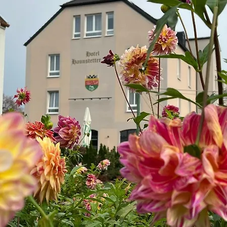 Haunstetter Hof Hotel 4*