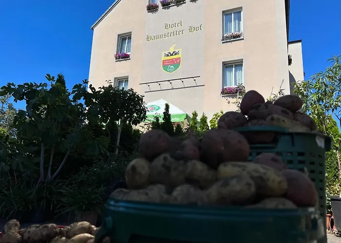 Haunstetter Hof Hotel 4*