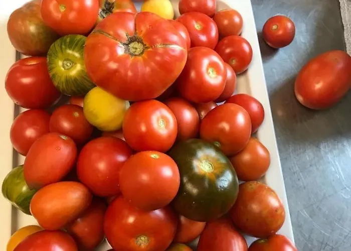 Haunstetter Hof Hotel 4*