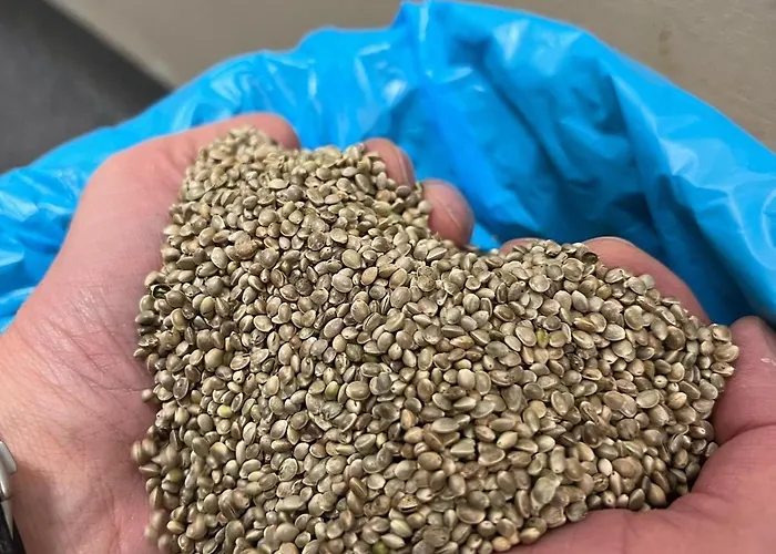 Hotel Haunstetter Hof Augsburg